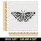 Delicate Detailed Butterfly Spring Summer Nature Monarch Wall Cookie DIY Craft Reusable Stencil